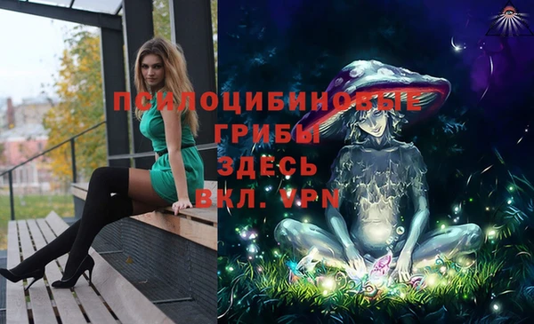 герыч Алзамай