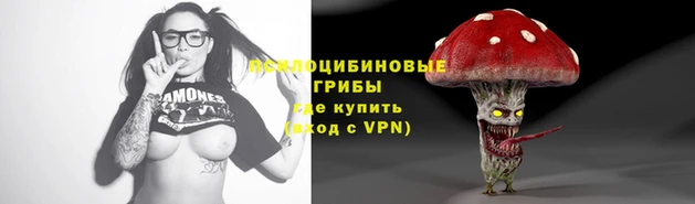 дживик Арсеньев