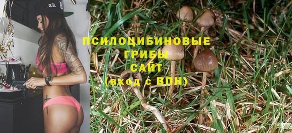 ГАЛЛЮЦИНОГЕННЫЕ ГРИБЫ Абаза